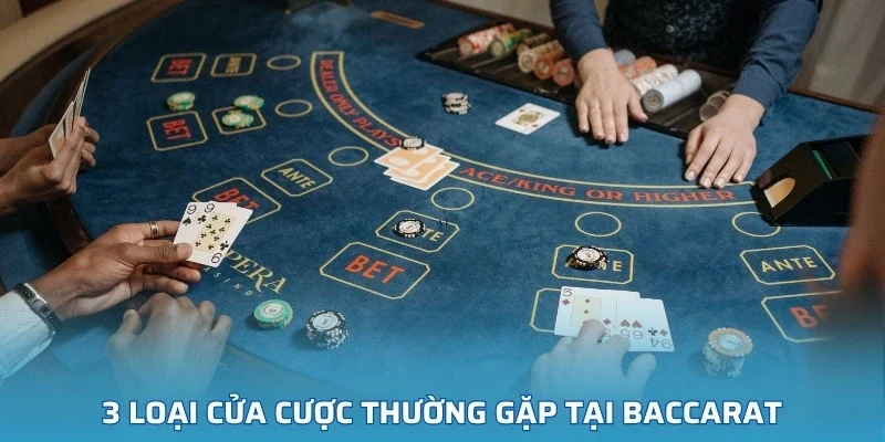 3 loại cửa cược thường gặp tại Baccarat