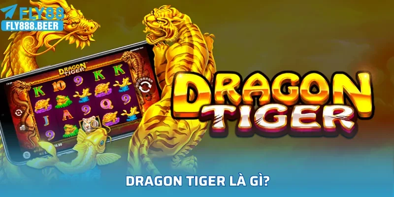 Dragon Tiger là gì?