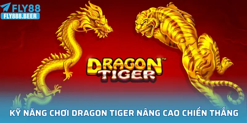 Kỹ năng chơi Dragon Tiger nâng cao khả năng thắng