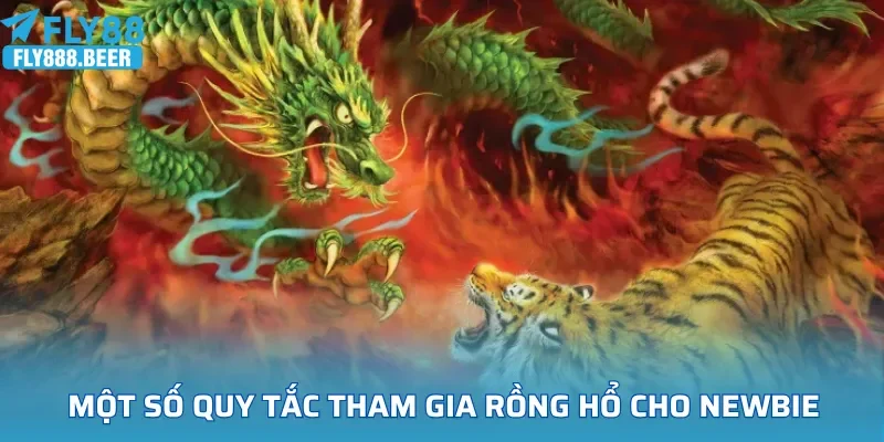 Một số quy tắc tham gia rồng hổ cho newbie