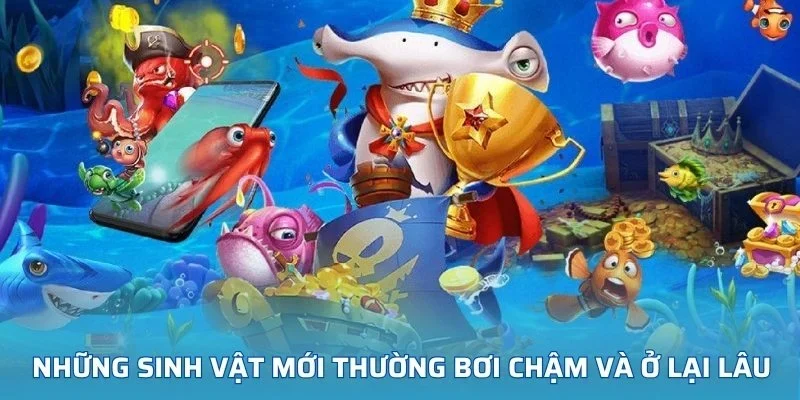 Những sinh vật mới thường bơi chậm và ở lại lâu