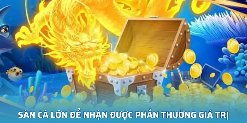 Săn cá lớn để nhận được phần thưởng giá trị